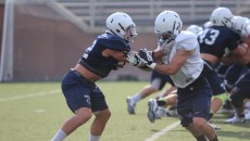 Photo By: Marko Tomich