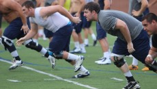 Photo By: Marko Tomich