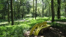 Jeppe Hein, Bench Around the Lake, 2010. Commissioned by the Indianapolis Museum of Art © Jeppe Hein. Courtesy of the Indianapolis Museum of Art.