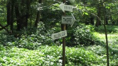Kim Beck, NOTICE: A Flock of Signs, 2013. Commissioned by the Indianapolis Museum of Art © Kim Beck. Courtesy of the Indianapolis Museum of Art.