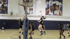 Photo by Veena Barona