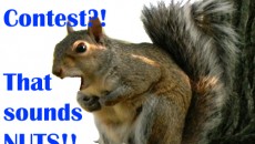 Submissions due Monday, Sept. 22!