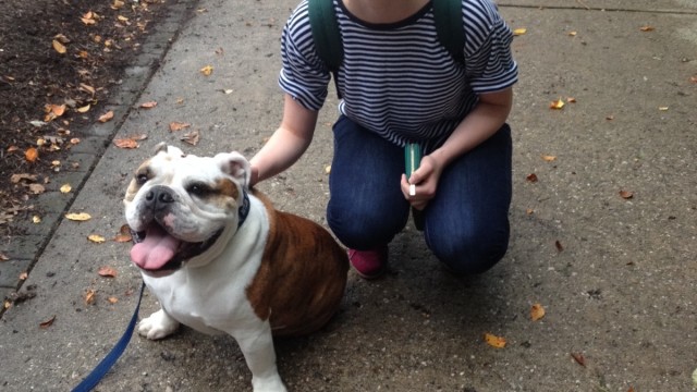 Lights, camera, college