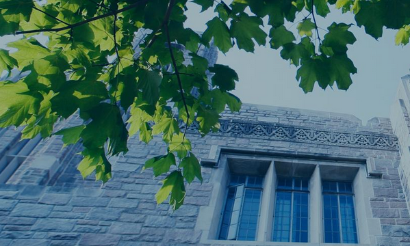 The truth about college