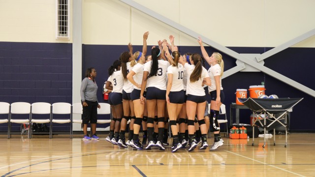 Young and Hungry: Women’s Volleyball looks to continue last season’s success
