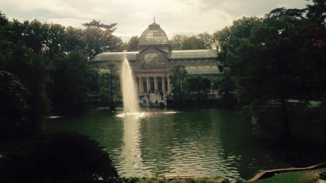 Bulldogs Abroad: A New Normal