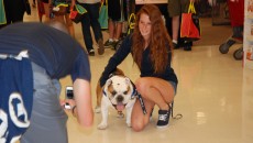 Photo by Michael Brown