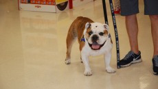 Photo by Michael Brown