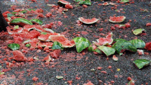 Lambda Watermelon Bust raises money for Gleaners Food Bank