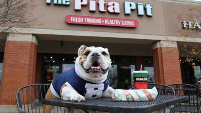 Pita Pit to open in parking garage this spring