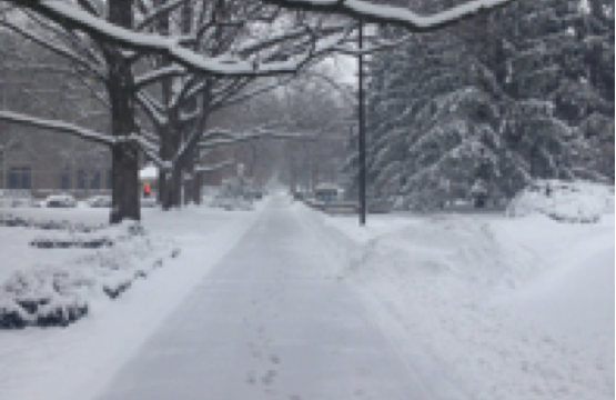 What you can do in a Winter Wonderland