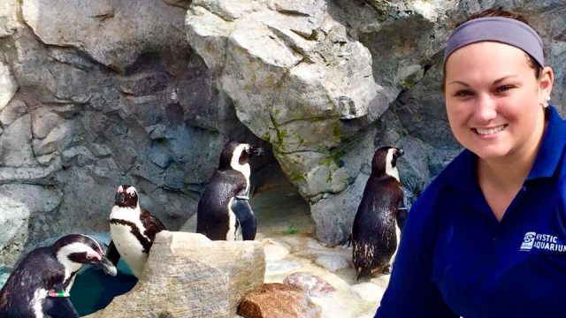 Senior Carah Austin presents a passion for penguins