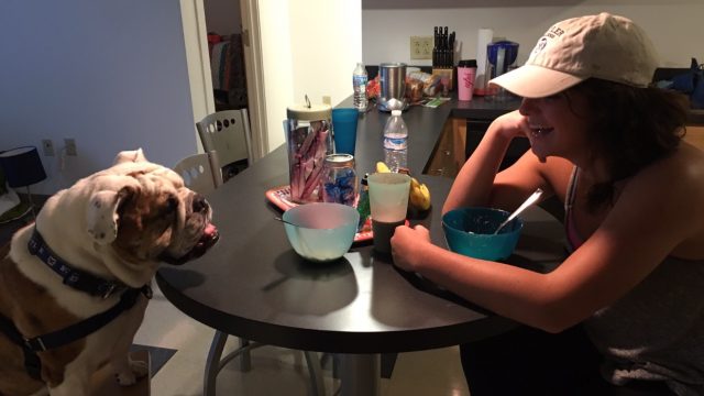 My neighbor is a Trip… No, literally!