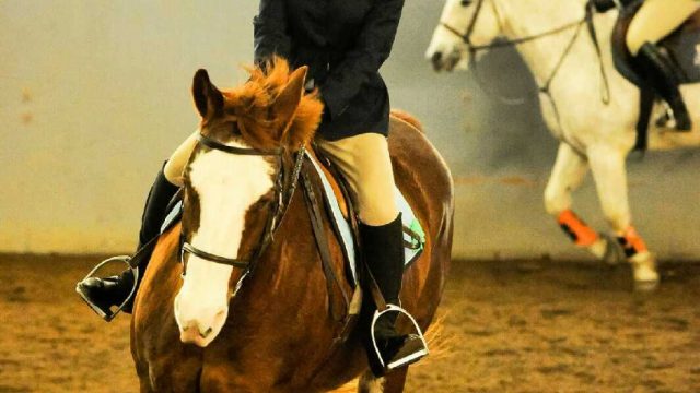 Almost Time to Saddle Up for Butler’s Equestrian Club Team