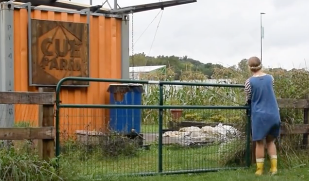 Grant allows CUE farm to grow, harvest data