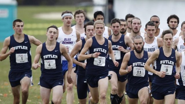 Cross country teams confident for upcoming season