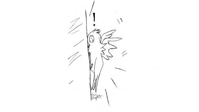 Birds dying due to crashing into campus windows