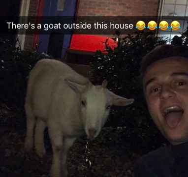 I Ain’t Afraid of No Goat