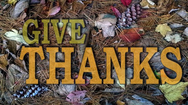 Dawghouses over Thanksgiving break