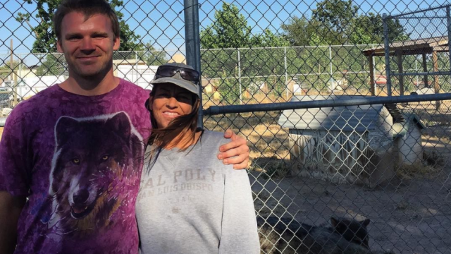 Bulldogs of Butler: Love major Justin Wolverton