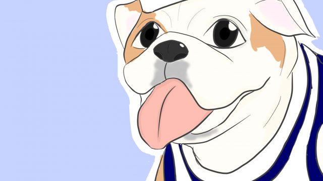 “Dawgs Gotta Eat” these family recipes