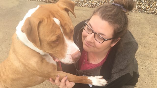 Popular PWB course Wagging, Walking, and Wellness cancelled for Fall 2018