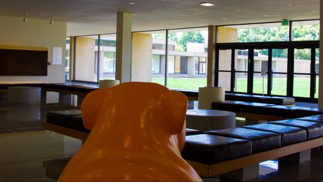 College of Education seniors navigate online student teaching amid K-12 coronavirus school closures