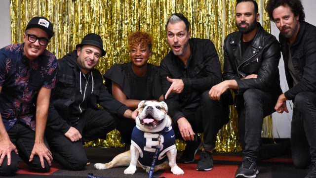 Dawgs see Fitz and the Tantrums perform at Clowes