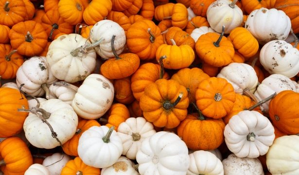 You can’t miss these fall activities in Indy