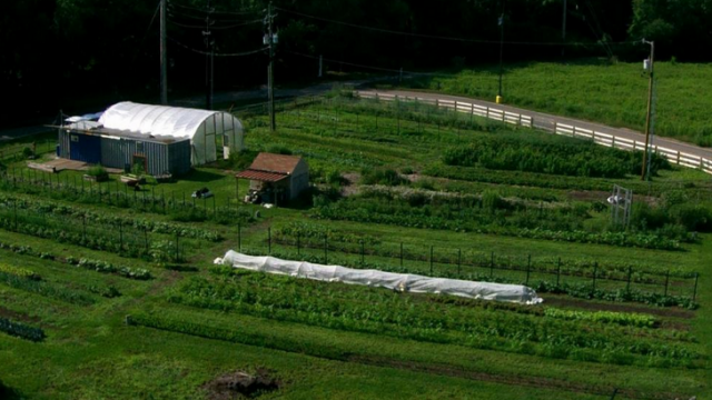 How to Reduce Your Carbon Pawprint