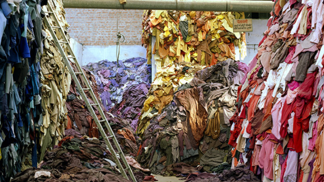 Sustain your style: The environmental cost of fashion