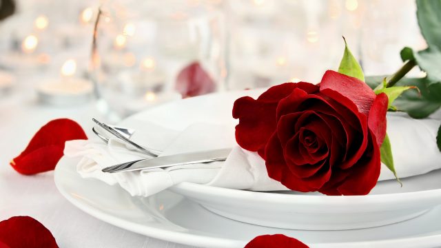 Valentines Day Activities for Dawgs