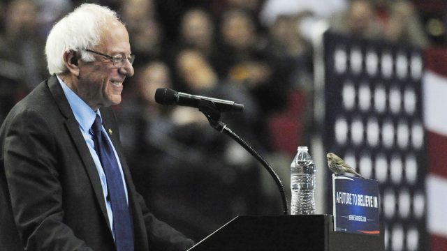 Reflecting on the 2016 Democratic Primary