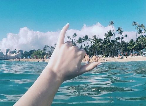 Social media predictions: spring break