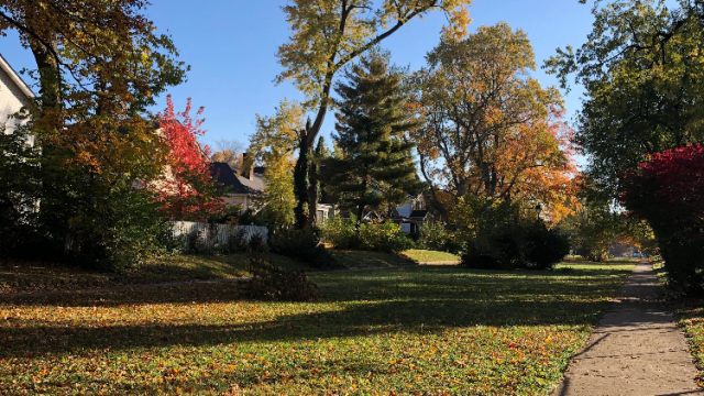 Get to know your Knoll neighbor: The story of one long-term resident