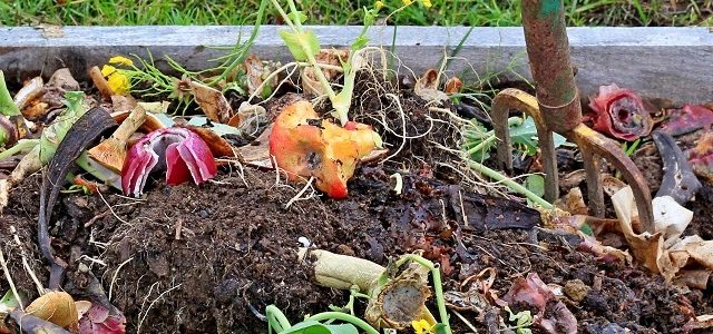 Butler and IUPUI combined compost program has nearly expended their 2016 grant