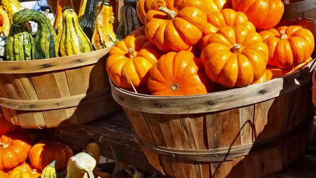 Surviving politics over the holidays