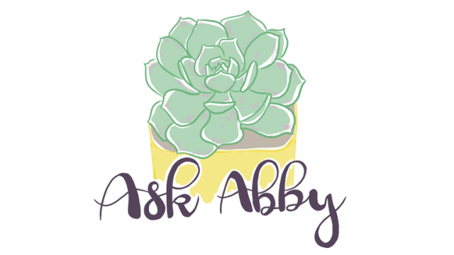 Ask Abby: Snow days, may they rest in peace!