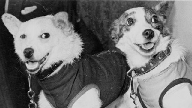 Impostor Syndrome: Am I in the right place?