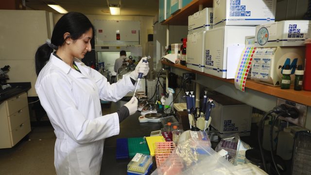 Coronavirus impacts Butler study abroad programs, focus of research on campus