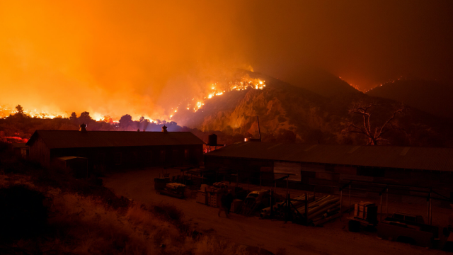 The connecting thread: climate change and the 2020 election