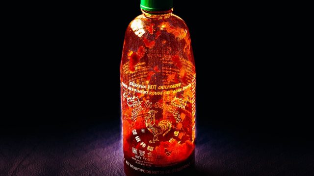 Dawgs gotta eat: An unusual Mexican restaurant review