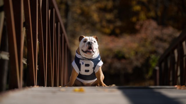 Reflecting on Blue IV’s first year at Butler