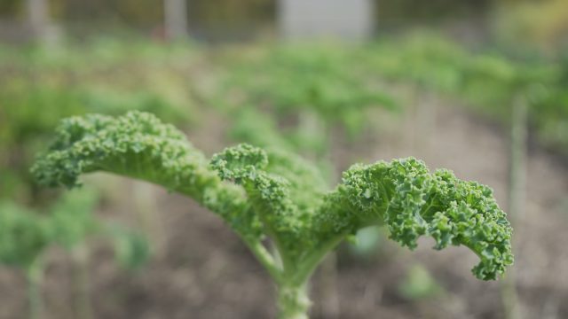 Sustainable living as a college student