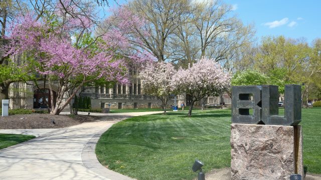 The Class of 2025: A look to the future