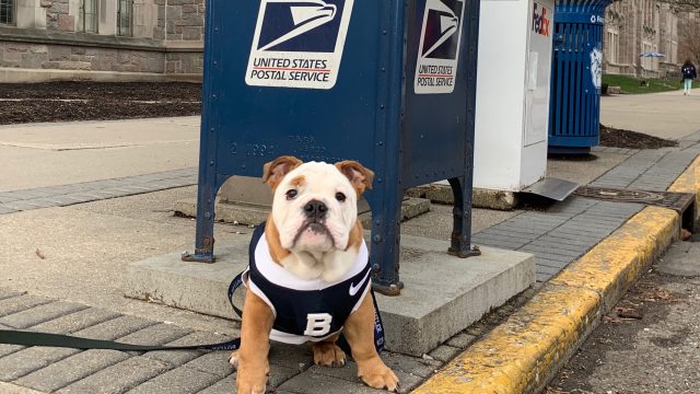 How to adult: Mail on campus