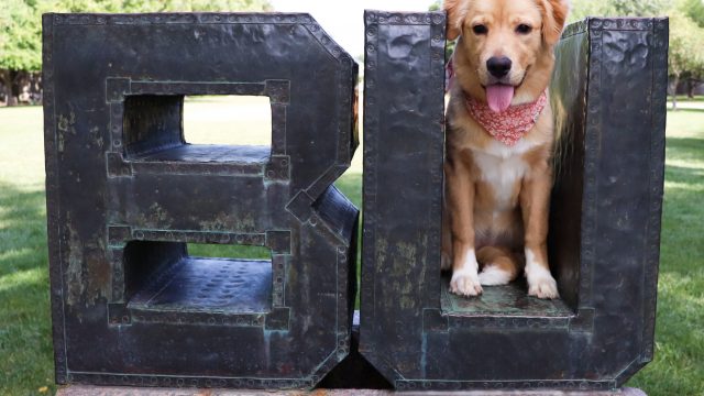 Beyond Blue: The dogs of Butler