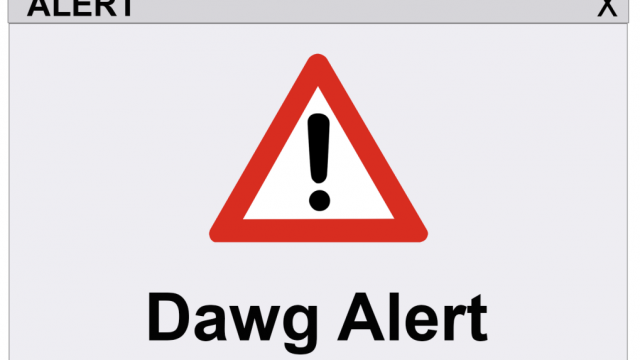 Campus reacts to numerous Dawg Alerts in two weeks