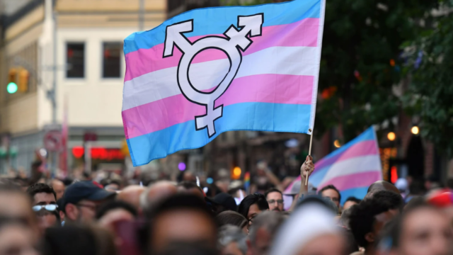 International Transgender Day of Visibility