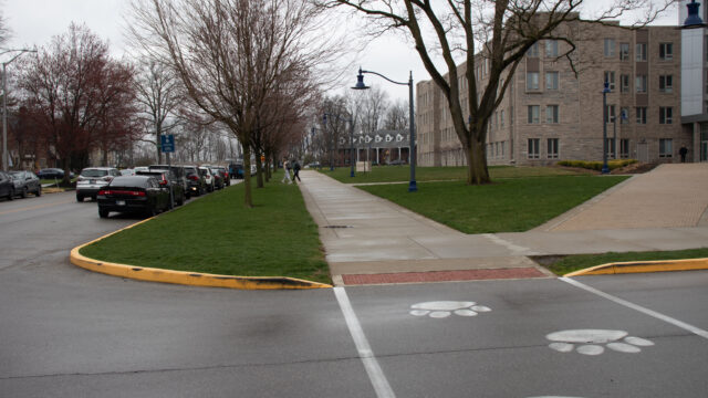 Bulldogs for Universal Design tackle curb issues on campus